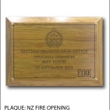 P-NZ-Fire-Opening.jpg