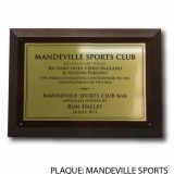 mandeville-sports