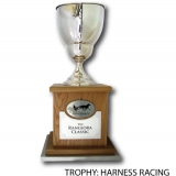 harness-racing